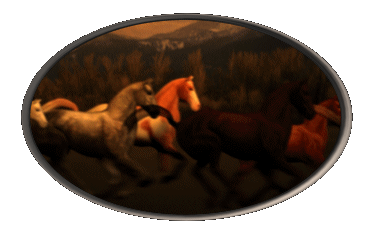 horse8frame2sm.gif