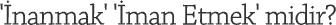739.gif