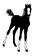 tailfoal.gif