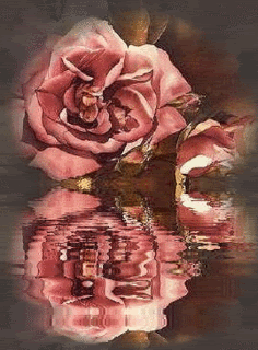 118980cudiws61sb.gif