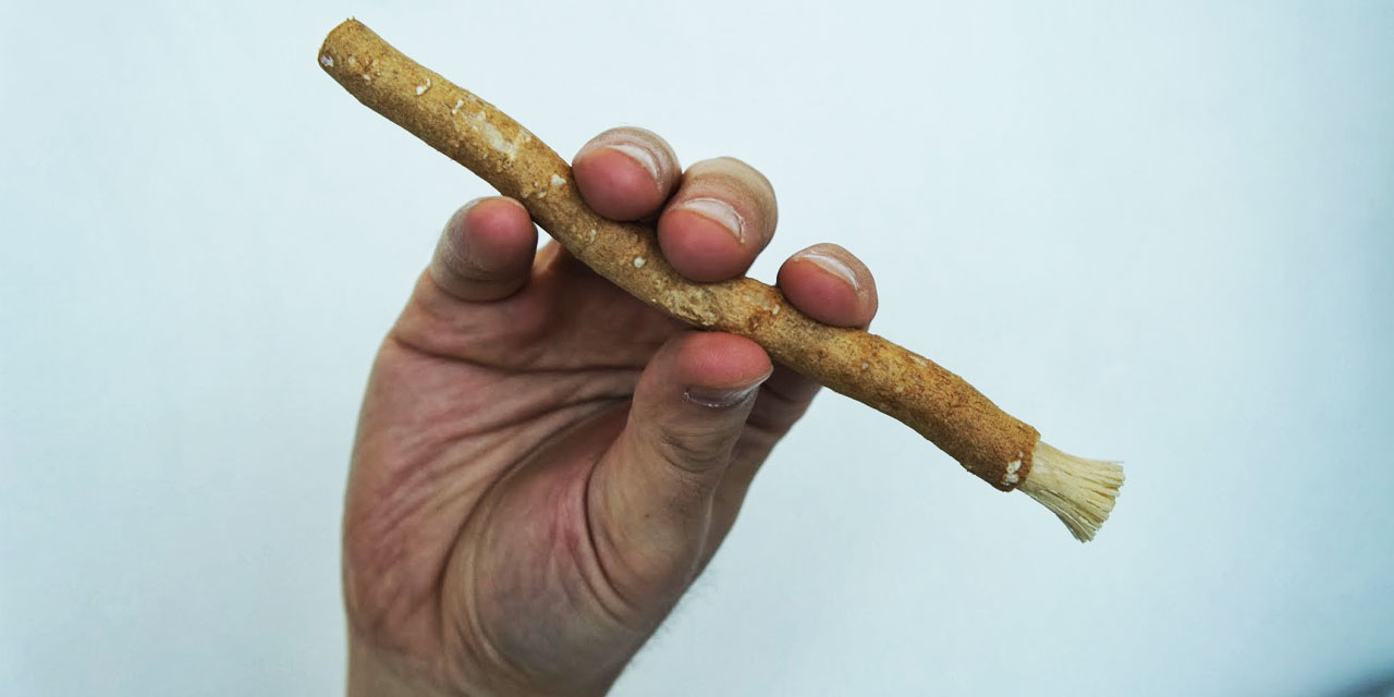 Misvak: Hastalıklardan kurtulmaya, ömrün uzamasına vesile