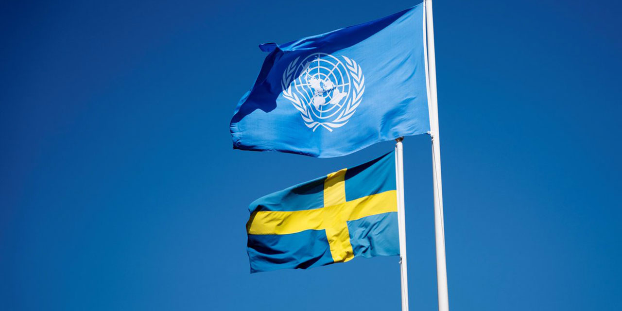 BM, İsveç'i sistematik ırkçılıkla mücadeleye çağırdı
