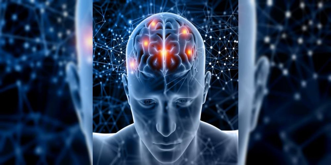 İnsan vücudunda yeni hafıza bölgeleri bulundu