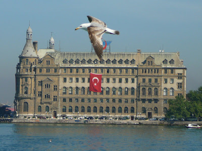 P1040535.JPG