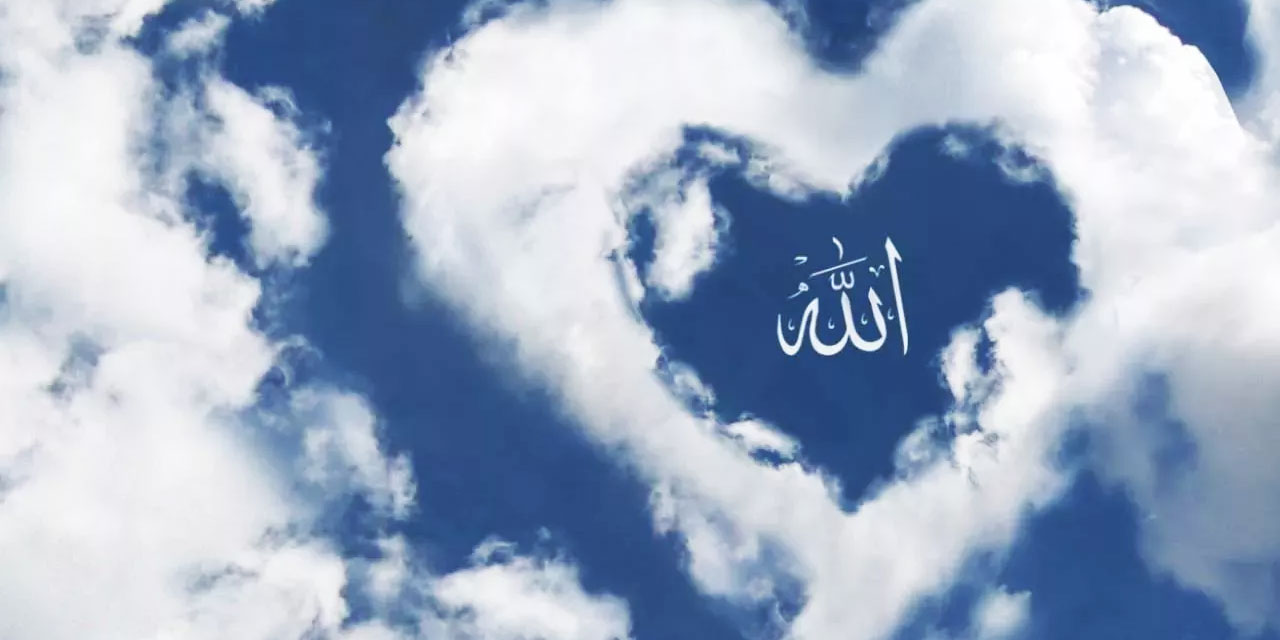 Nâsırımız, hâmimiz, muînimiz, hâfızımız Allah'tır