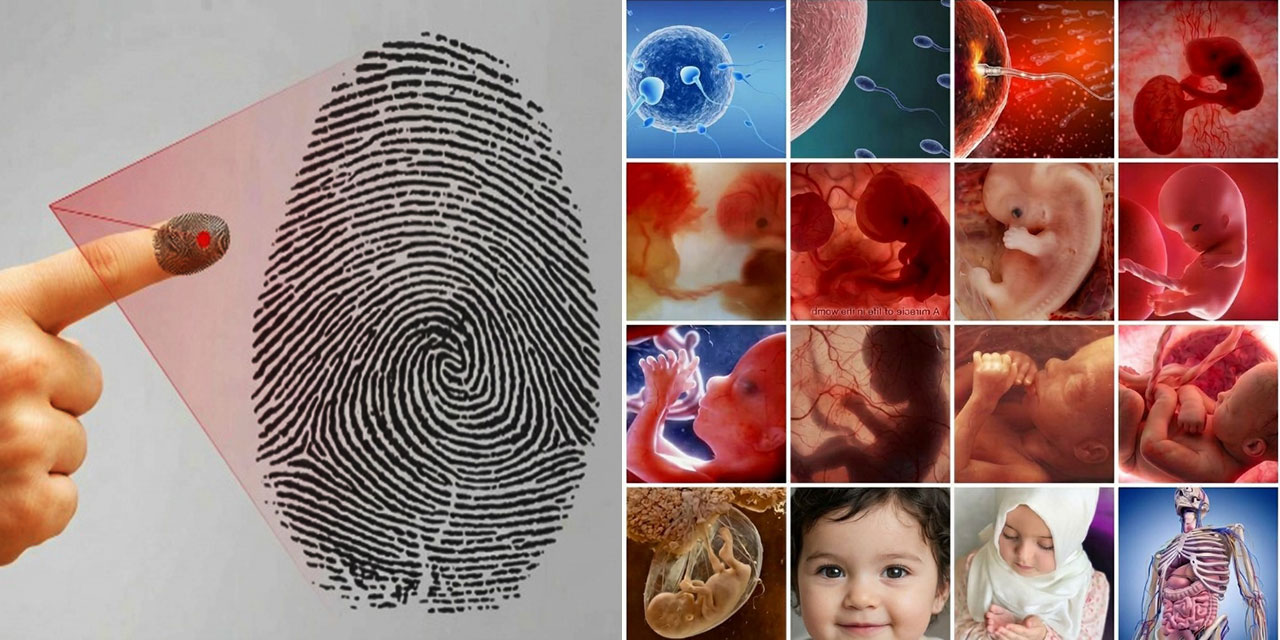 Parmak İzi ve Retinadan Simalara İlahi Sanat