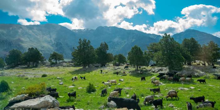 Geyik Dağları tefekküre çağırıyor