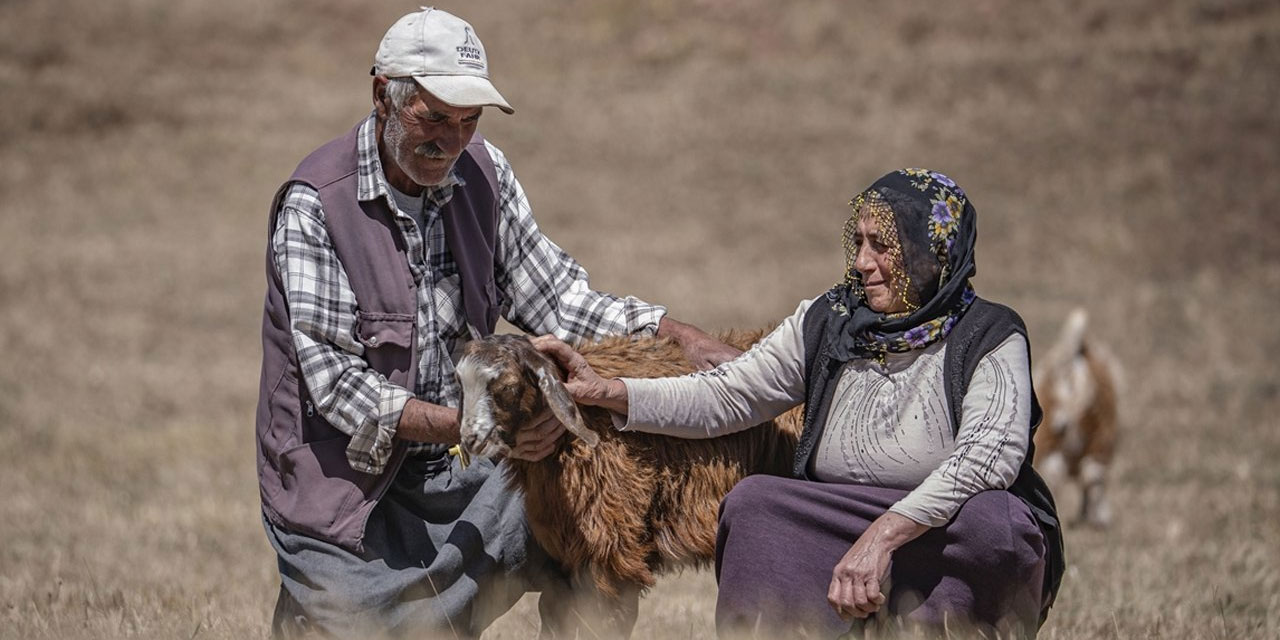 Huzurlu ve mutlu evlilikleri 50 yaşında: Gençlere güzel örnek oluyorlar