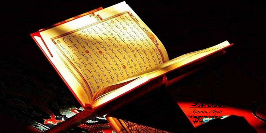 Onları alaya alıyorduk yoksa buradalar da gözlerimiz mi onlardan kaydı?