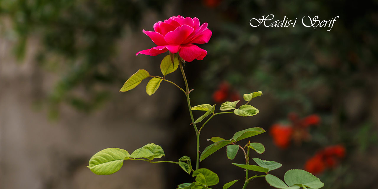 Allah o kulun kalbinin kilitlerini açar