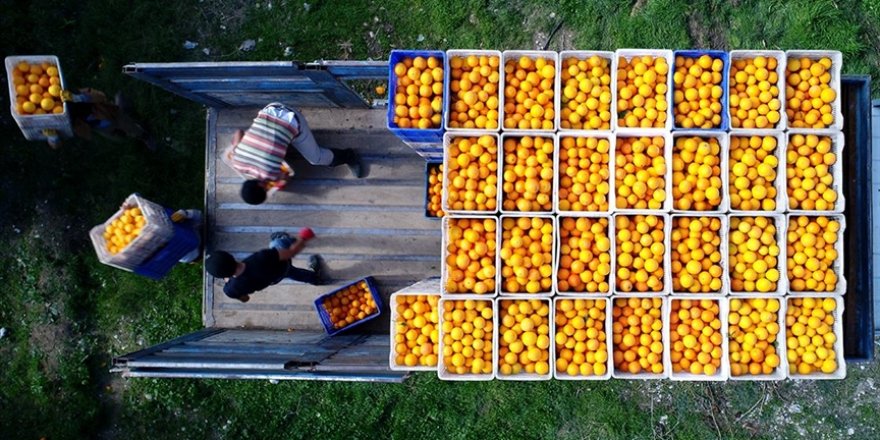 Soğuk hava zincirinde yeni dönem! İsrafın önüne geçilecek