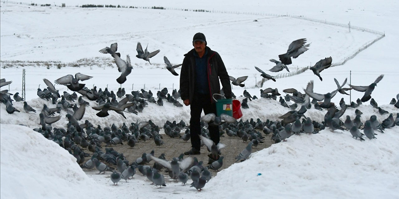 Yaban kuşları için her sabah kar küreyip yem veriyor