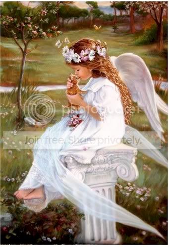 kissingkittyangel8ih.jpg