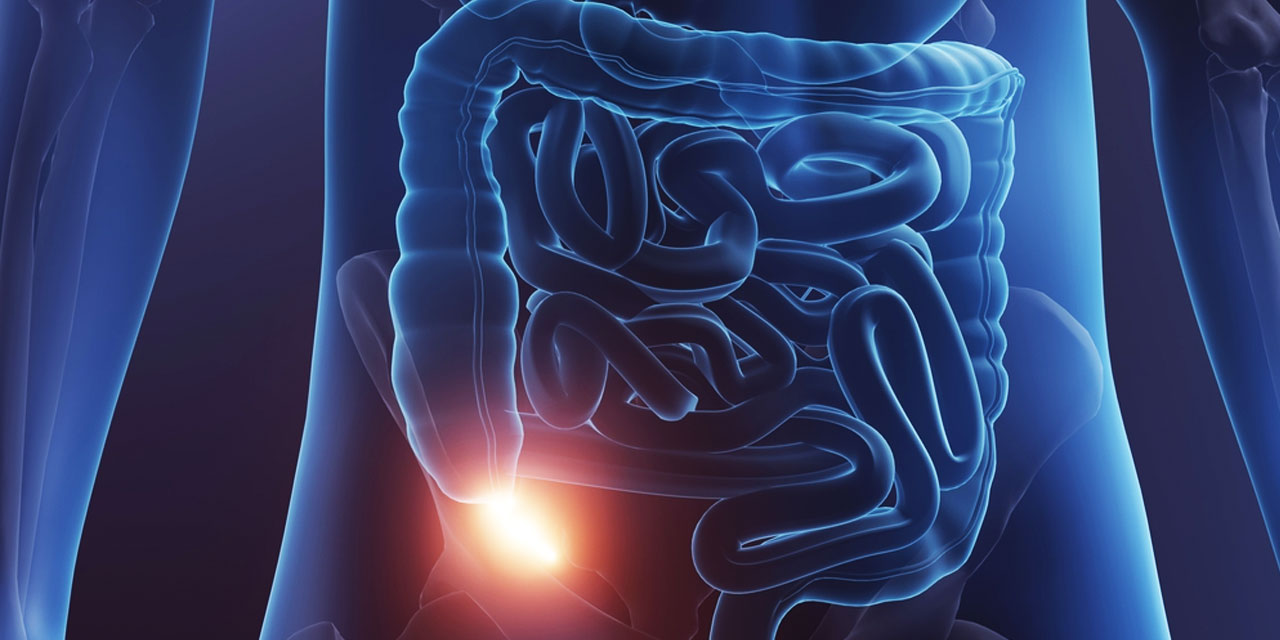 Darwin bunu da uydurmuş: Apandis de evrimcileri yalanlıyor