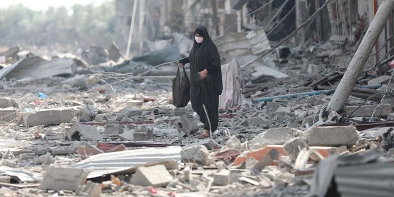 Soykırımcı israilin kıtlığa sürüklediği Gazze'deki yaşlı kadın, torunlarını otla doyurmaya çalışıyor