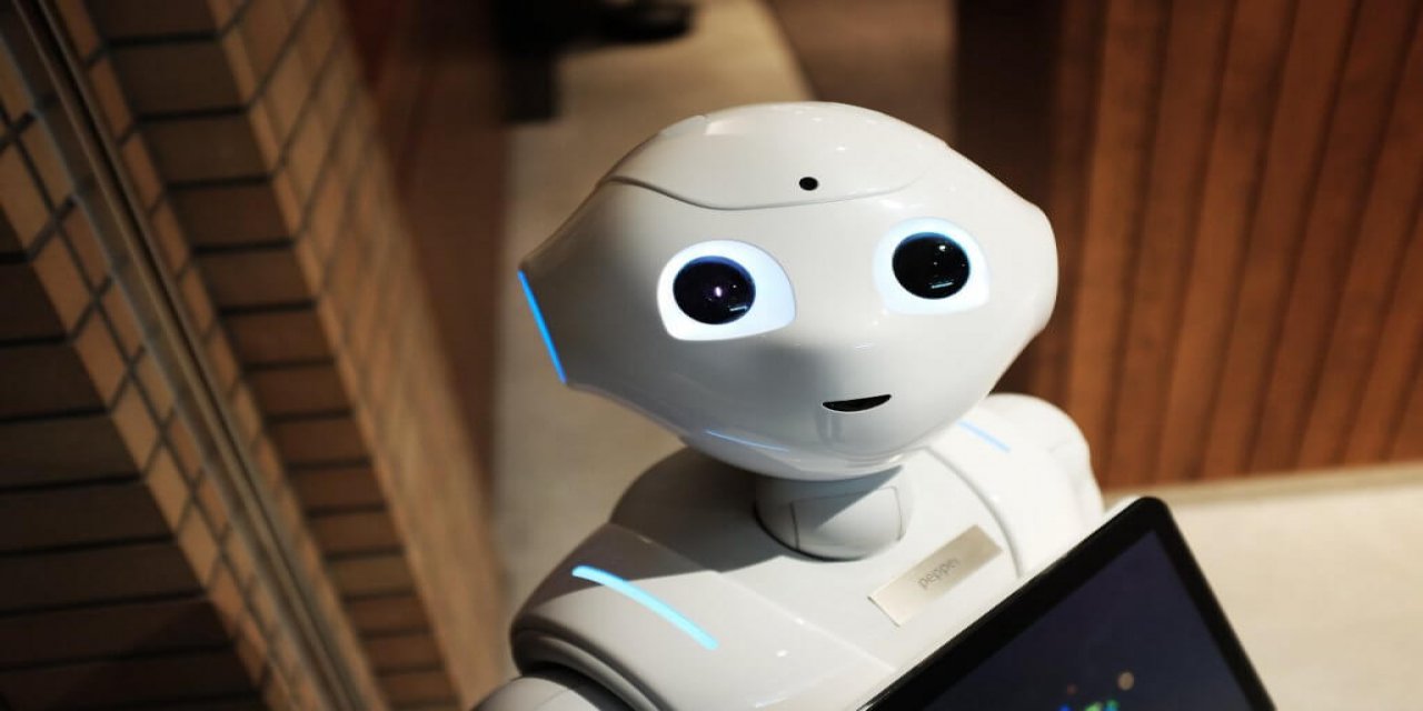 Japonlar robotlar için canlı deri geliştirdi