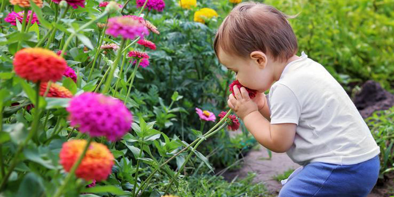 Google, bir maddenin nasıl koktuğunu tahmin eden yapay zeka geliştirdi