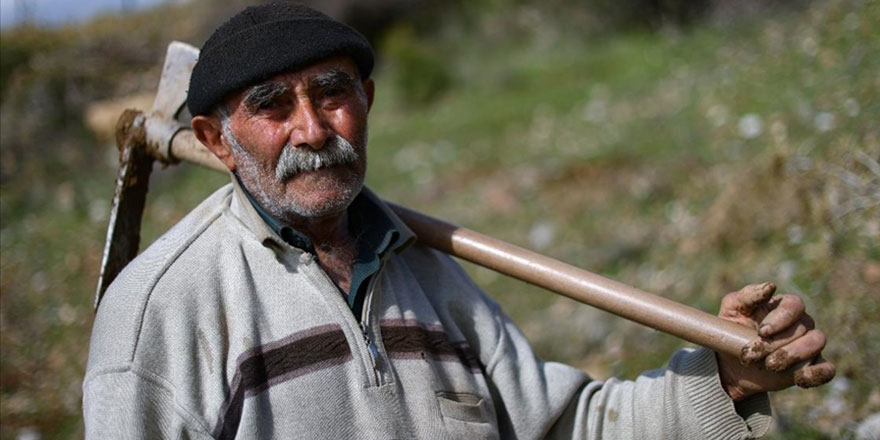 Maşallah Fidan dede! 35 yılda 550 bine yakın fidanı toprakla buluşturdu