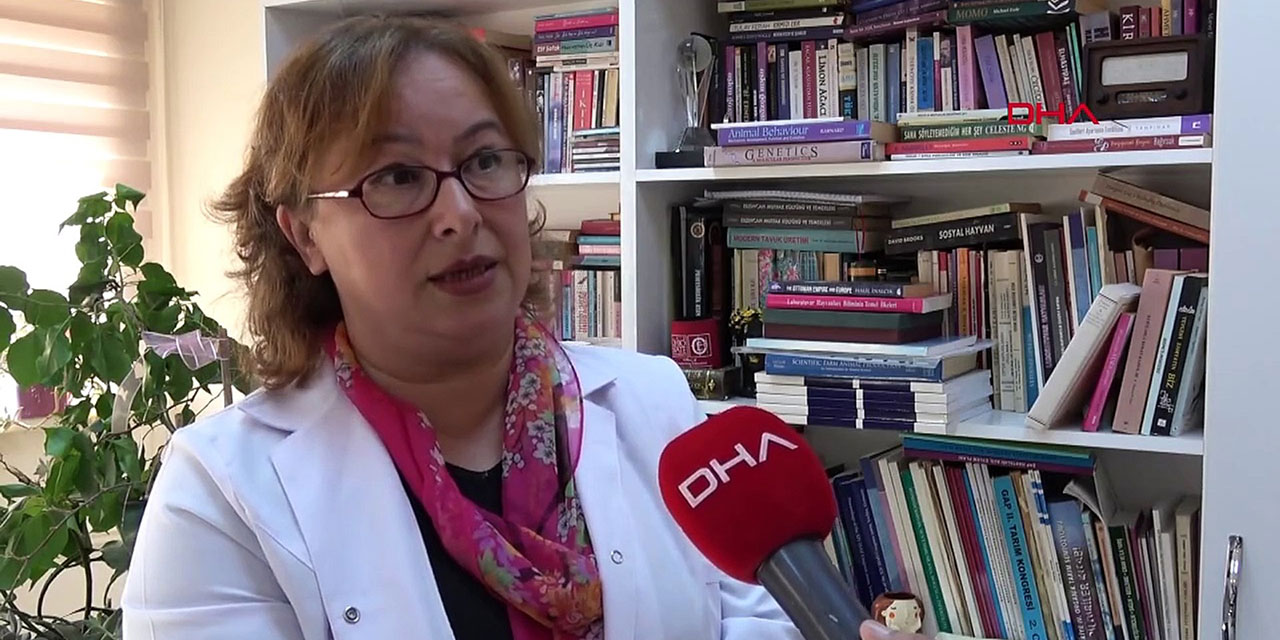 Prof. Sabuncuoğlu: Türkiye kuduz riskli ülke konumunda