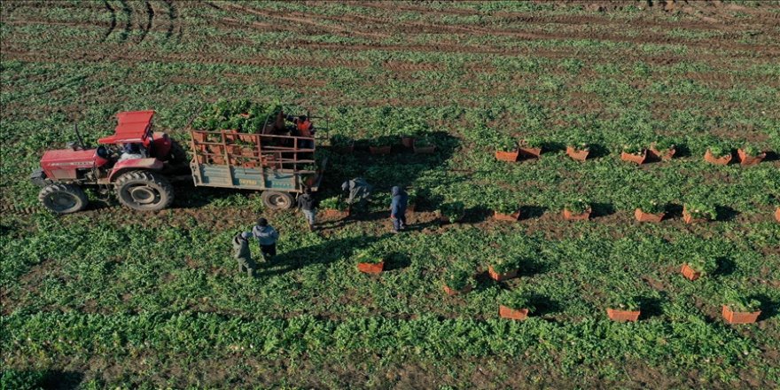 İşin uzmanları anlattı! İşte tarımın kurtuluş reçetesi