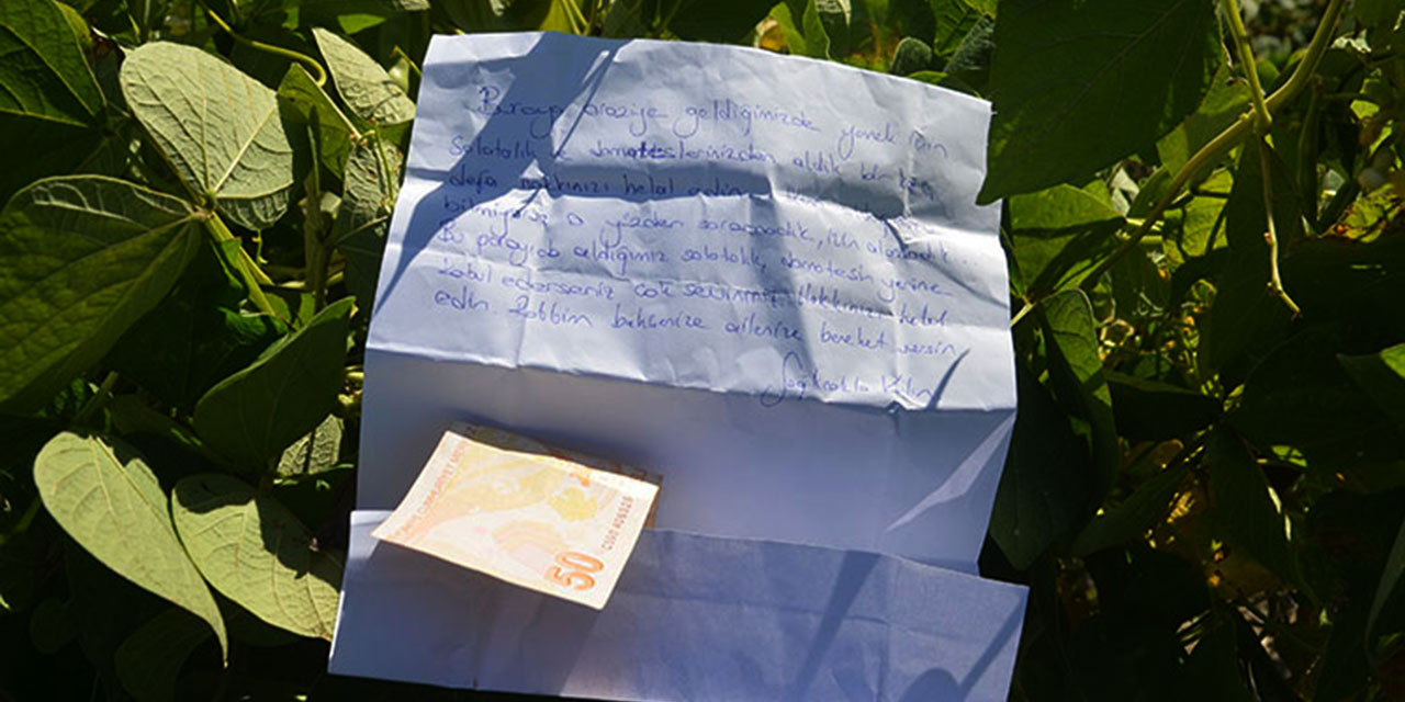 İzinsiz aldıkları sebzeler için para ve not bırakıp helallik istediler