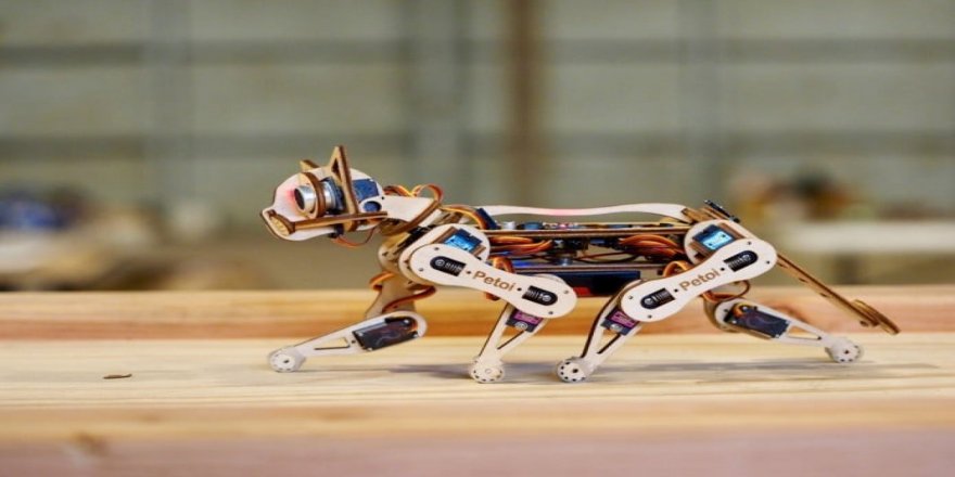 Çinliler artık robot evcil hayvanları tercih ediyor