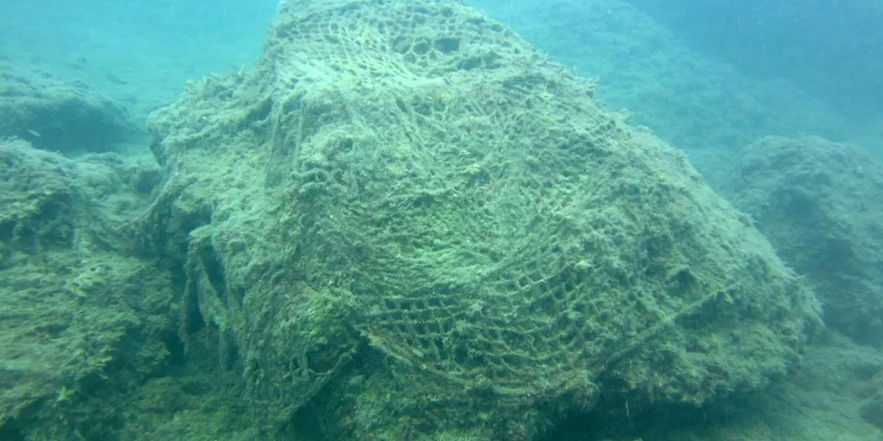 Deniz ekosistemi tehdit altında: ‘Hayalet ağ'lar tehlikesi