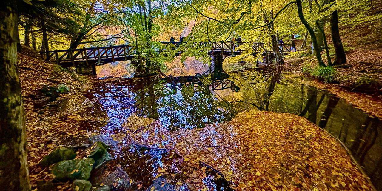 Yedigöller sonbaharın renklerine büründü
