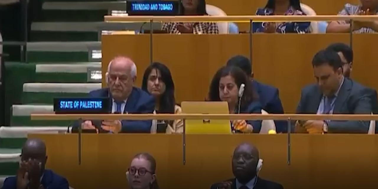 BM Genel Kurulu'nda Filistin için tarihi anlar: İlk sandalye