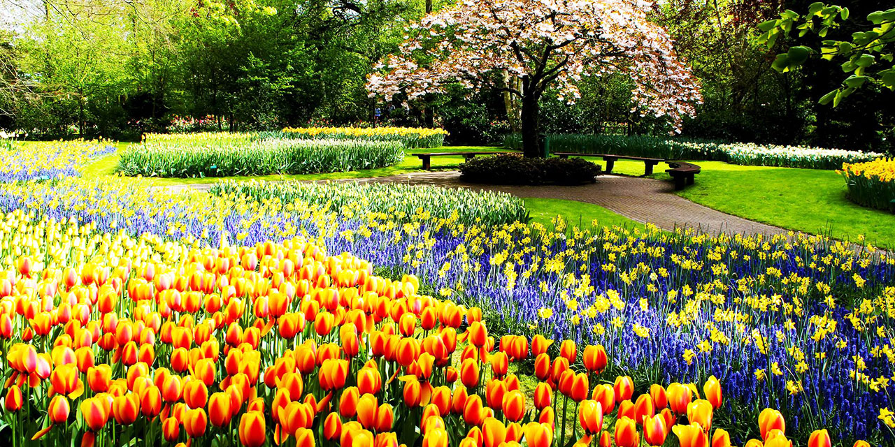 Bediüzzaman: Tabiat matbaadır, nakıştır, nizamdır, kanundur