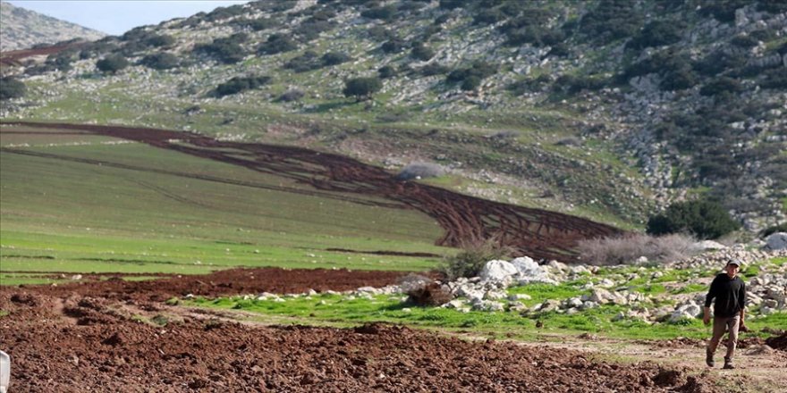 İşgalci İsrail ordusu, tatbikat yapmak için Filistinlilerin tarlalarını yok ediyor