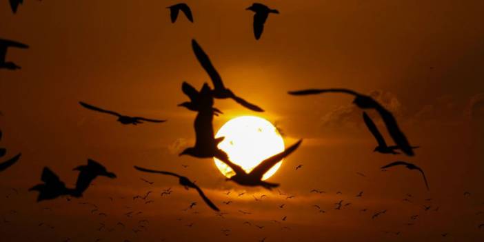 Van'da gün batımı