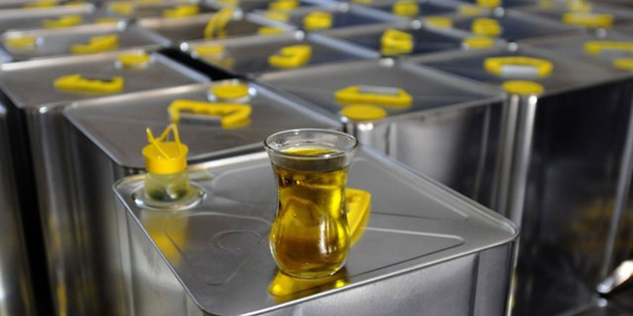 Uzmanından gerçek zeytinyağını anlama yolları