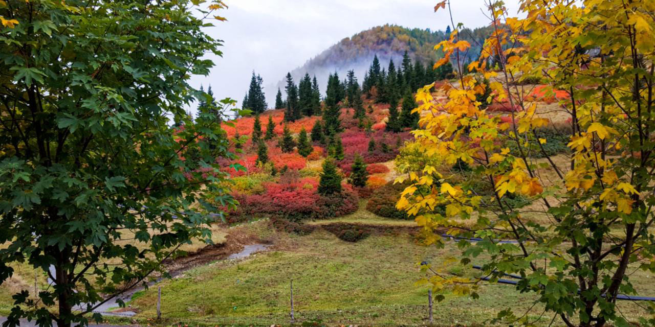 Sis Dağı Yaylası, İlahi sanata ayna oluyor