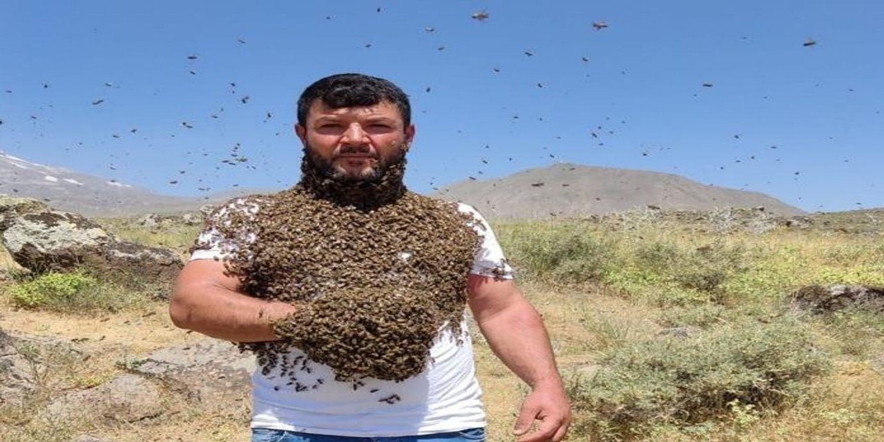 Binlerce arıyı koruyucu kullanmadan elleri ile taşıyor