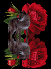 53382w7c7q9pikg.gif