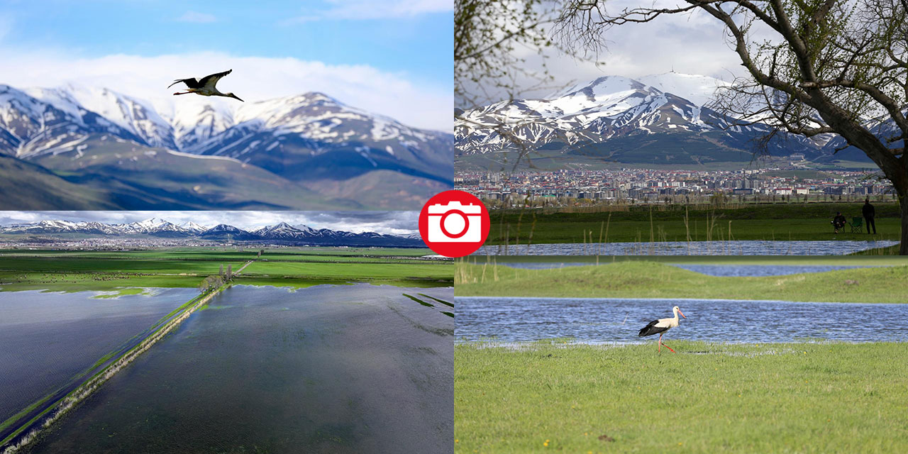 Erzurum'da kış ve bahar bir arada