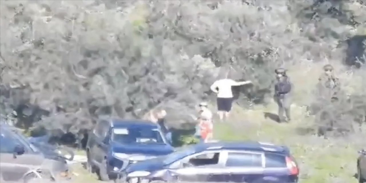 Hırsız yahudiler ve israil askerleri Filistinlilerin zeytinliklerini talan etti