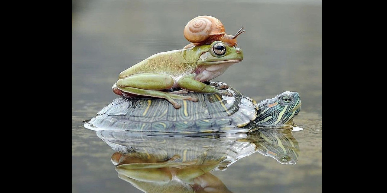 Hayat bir yardımlaşmadır