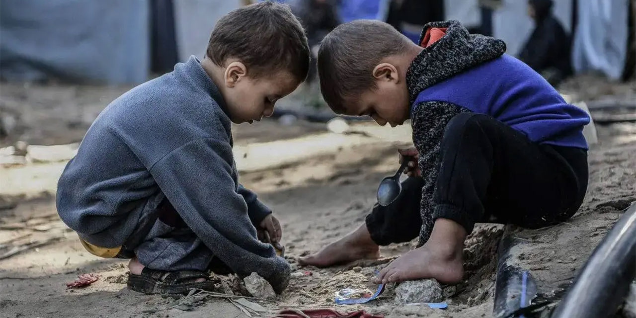 Dünya Sağlık Örgütü: Gazze'de herkes aç, çoğu açlıktan ölüyor