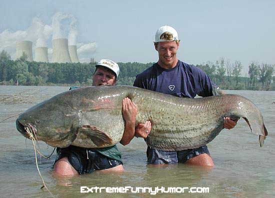 huge-fish.jpg