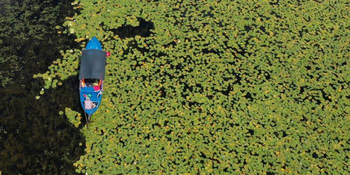 Nilüferlerle kaplı Işıklı Gölü