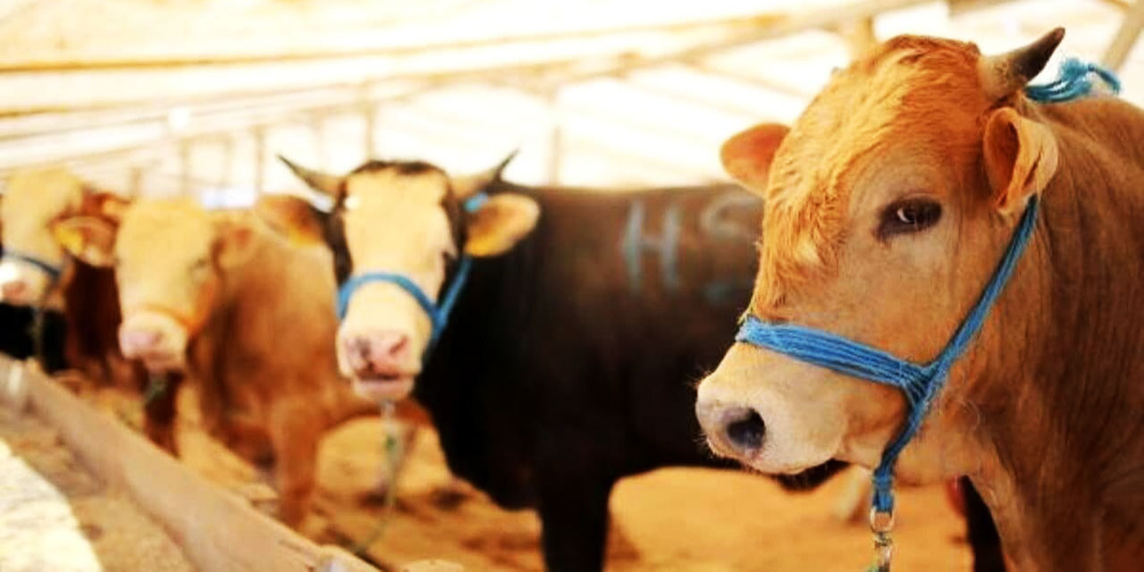 Kurban Bayramı tatili uzatılmadı