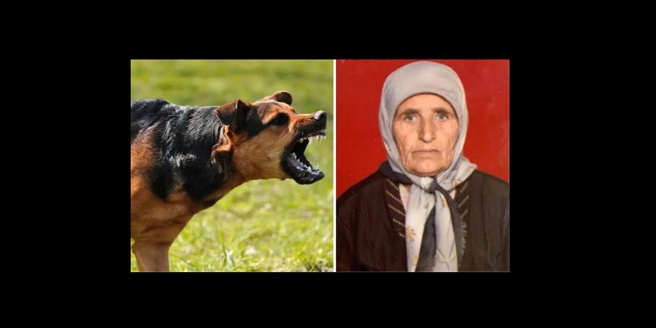 Türkiye köpek terörüne teslim oldu: 72 yaşındaki kadını öldürdüler
