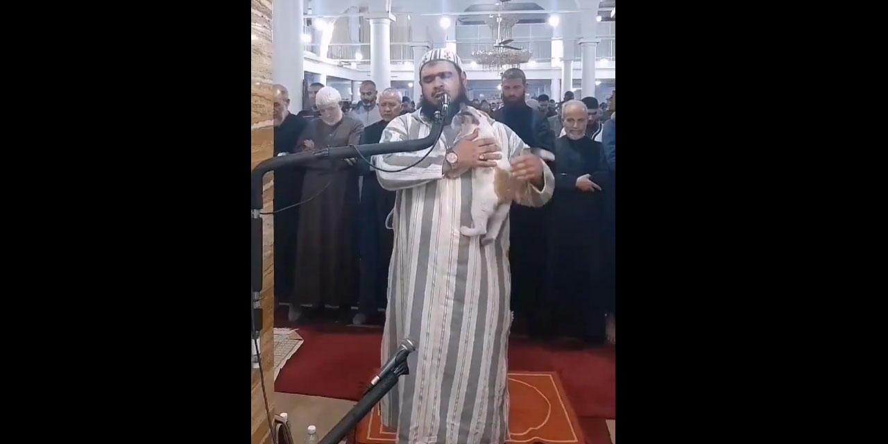 Teravih kıldıran imamın kediye şefkati dünya gündeminde