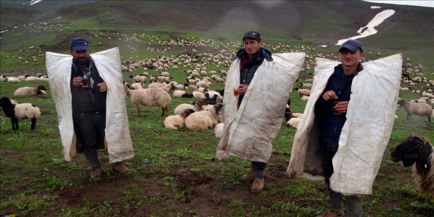 Çobanlar sosyal güvence istiyor
