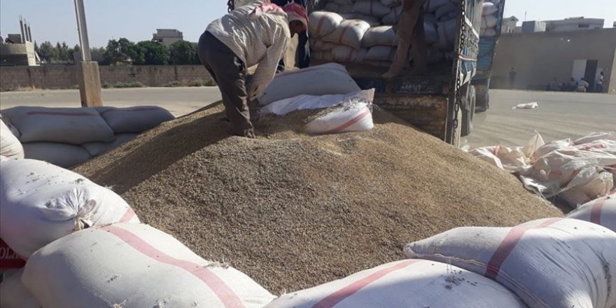 Toprak Mahsulleri Ofisi, 2022 hububat alım detaylarını belirledi