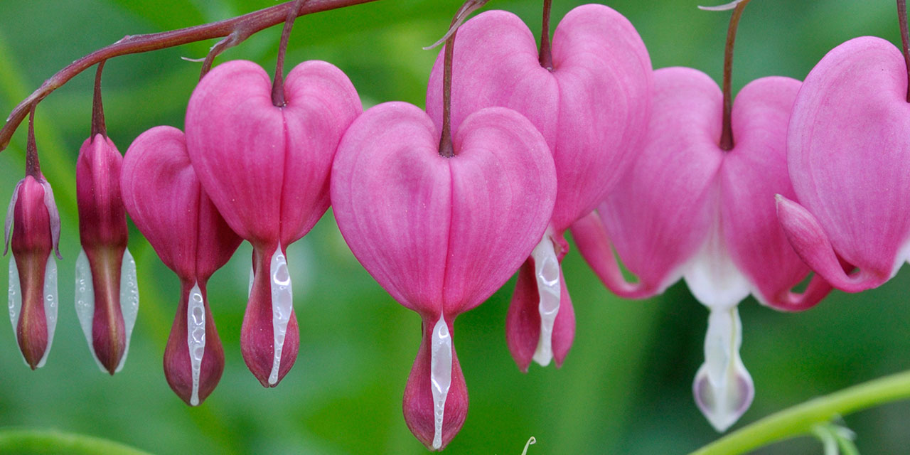 Peygamber Efendimiz Hz. Muhammed'in (asm) yaptığı zikirler