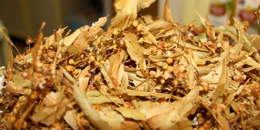 Ihlamurun kilosu 350 lirayı buldu