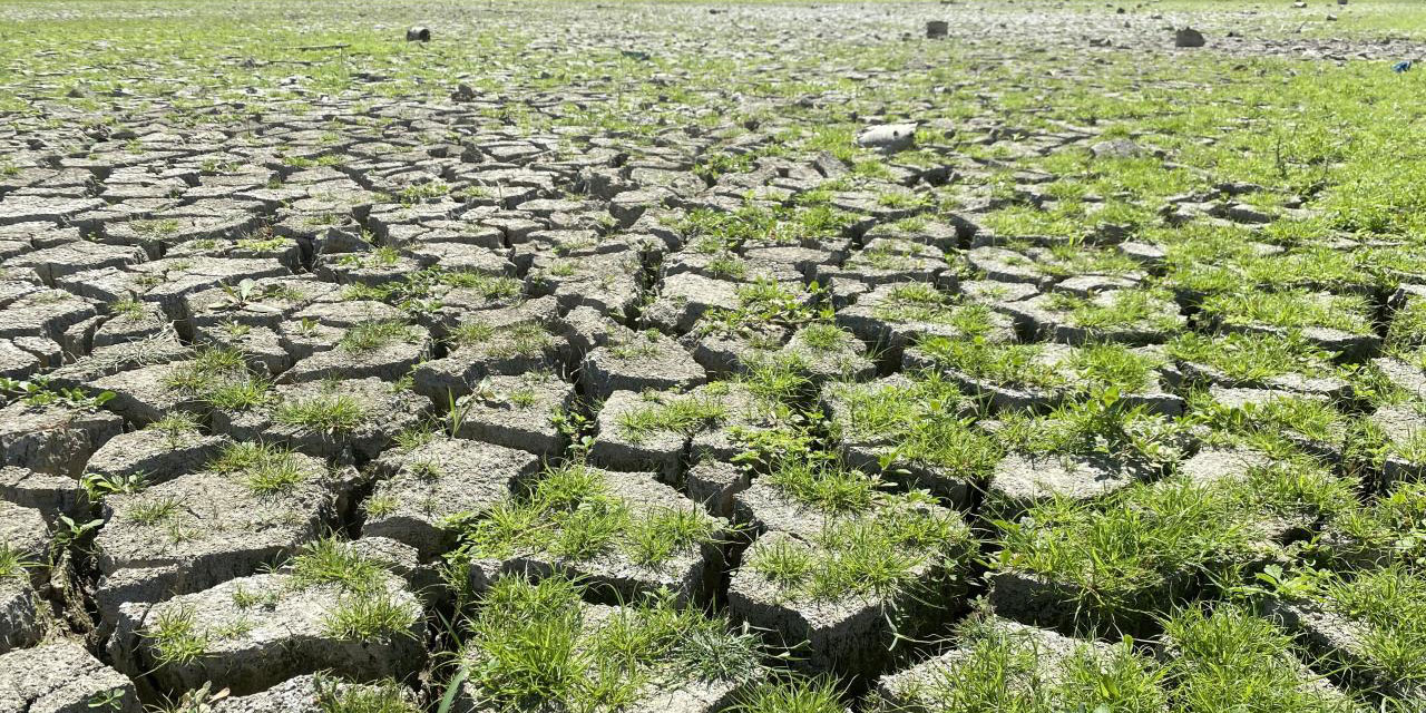 Bu da bir musibet: Temmuzda yağışlar geçen yıla göre yüzde 71 azaldı